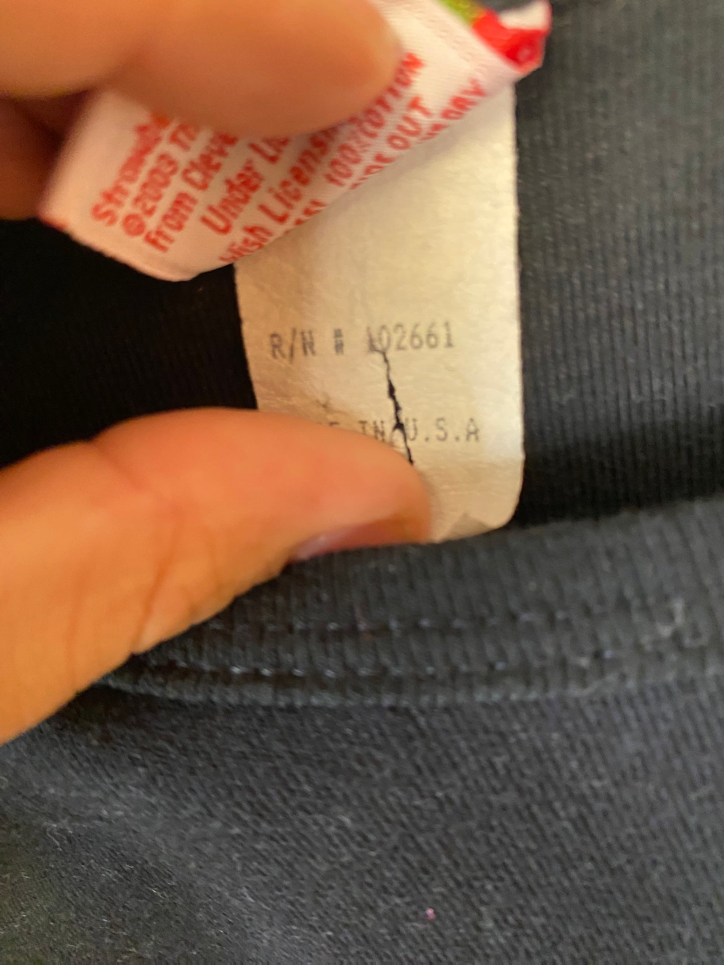 2003 Strawberry Shortcake Long Sleeve