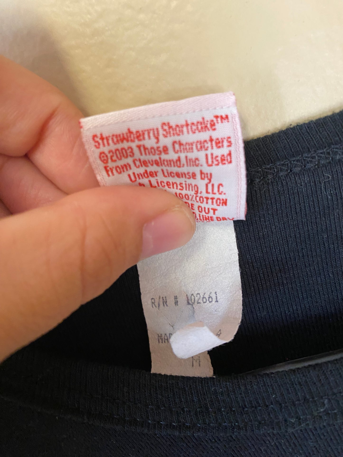 2003 Strawberry Shortcake Long Sleeve