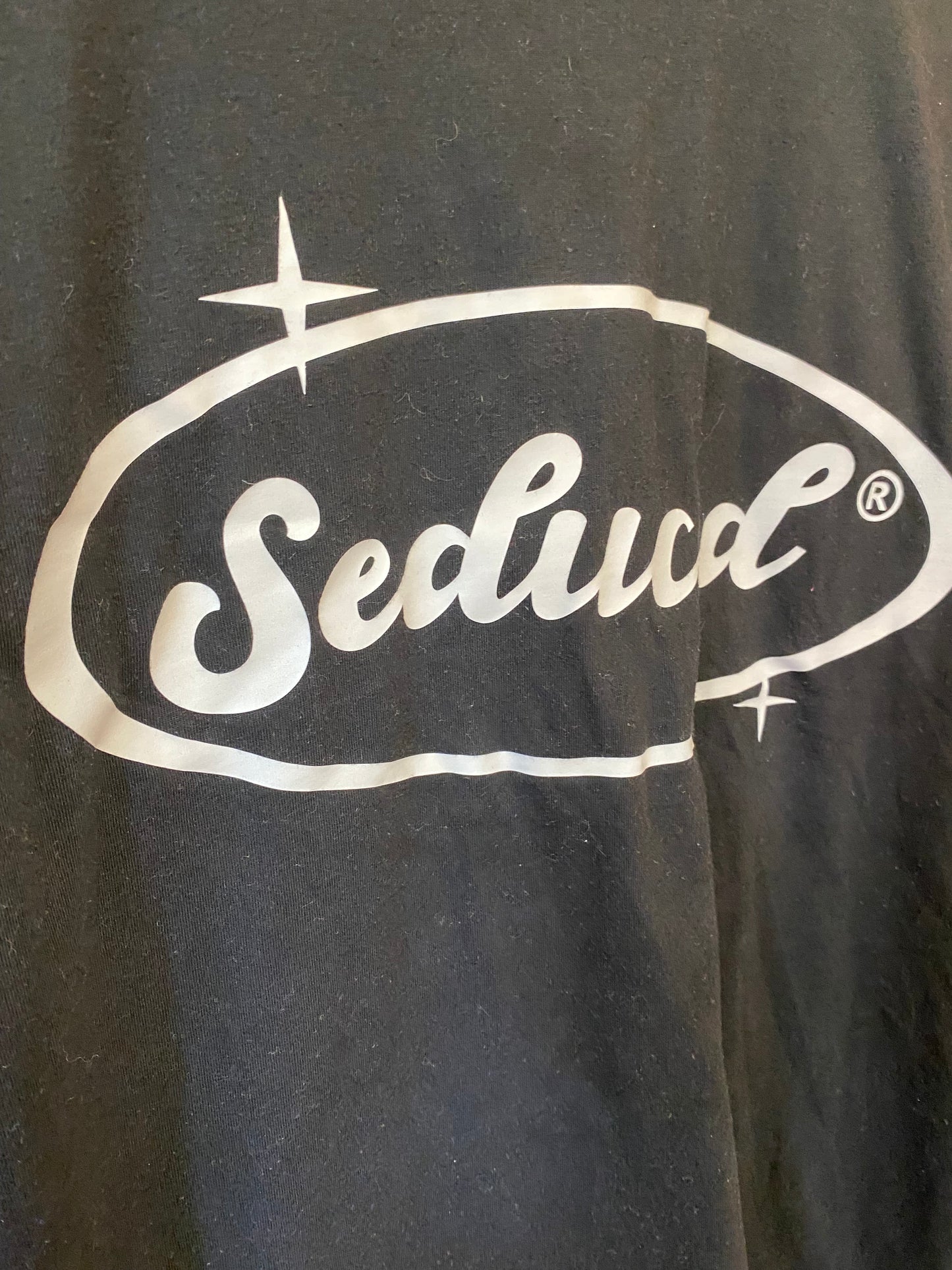 Seduced T-Shirt