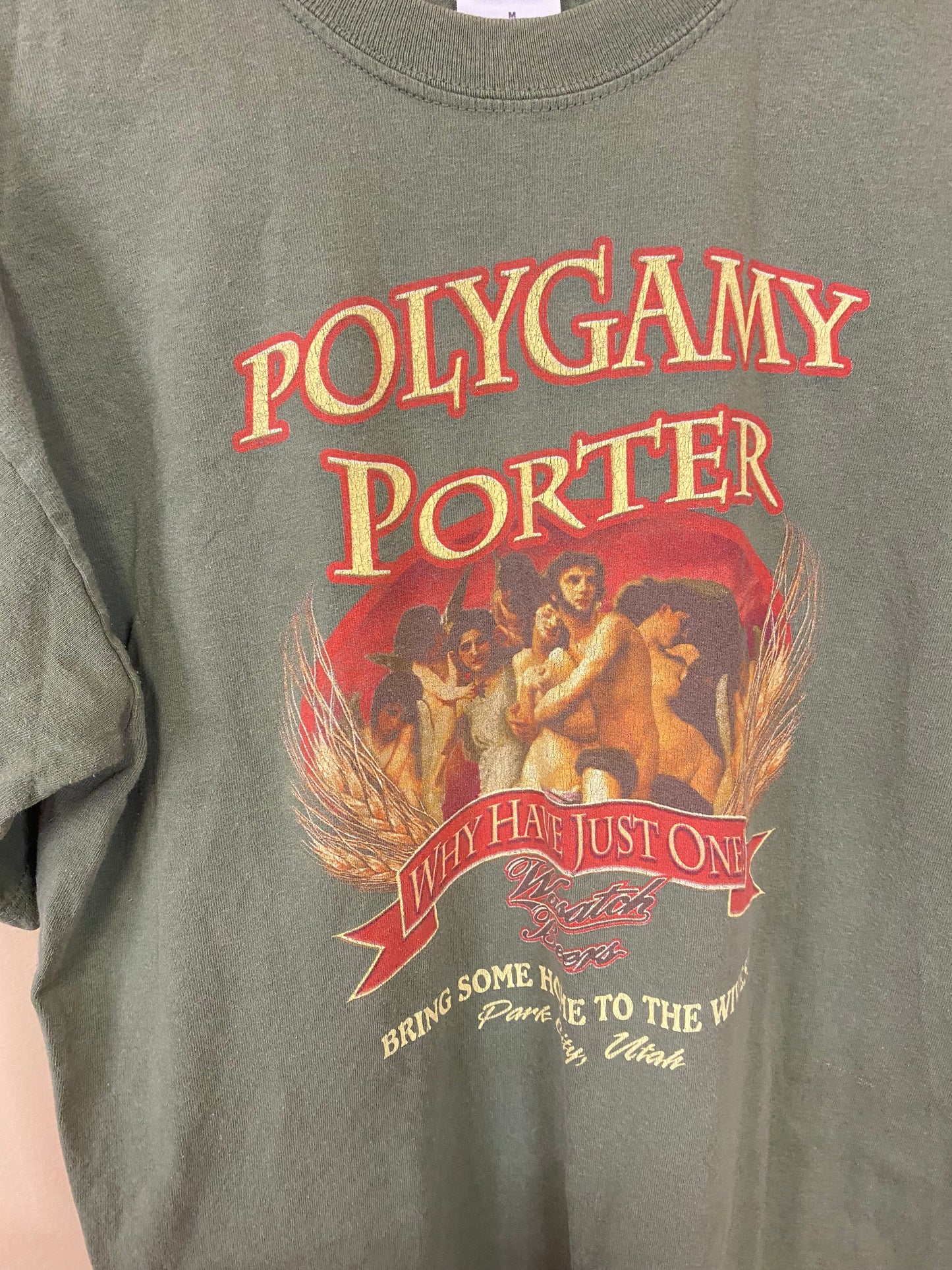 Polygamy Porter Park City, Utah T-Shirt