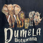 Dumela Botswana T-Shirt